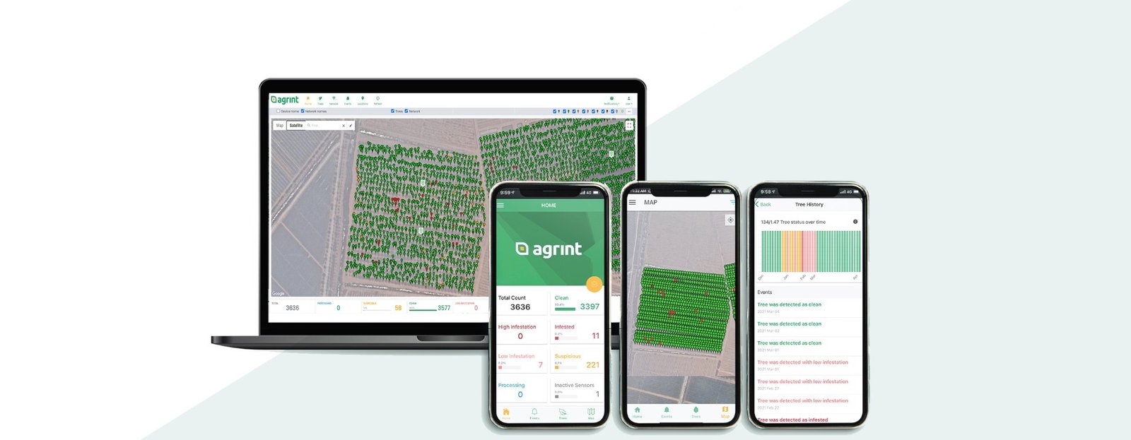 Plantation Management